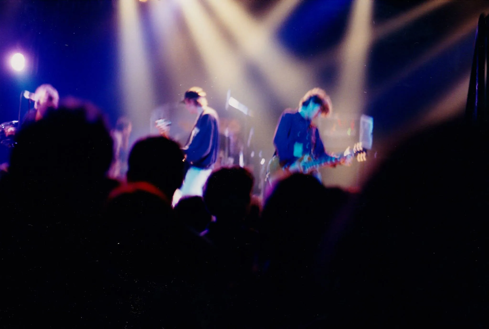 Gin Blossoms
